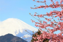 Mount Fuji